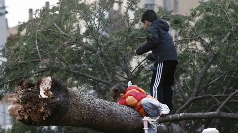 GRA168. PAMPLONA, 13/02/2017.- Unos niños juegan en un árbol caído en la localidad de Huarte (Navarra). Más de un centenar de intervenciones han tenido que realizar en las últimas horas efectivos de bomberos y agentes de la Policía Municipal de Pamplona por problemas derivados del viento. EFE/Jesús Diges