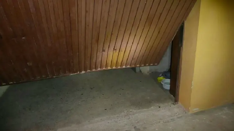 Garaje golpeado por un menor que se ha accidentado con el coche de su tía. PFORAL