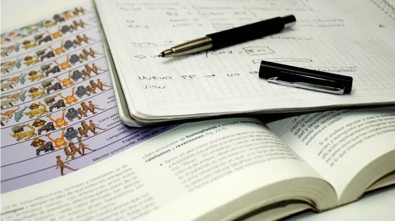 Libros de texto. ARCHIVO