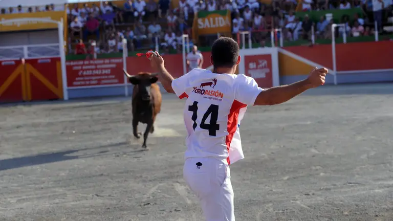 Concurso de recortadores en Noáin durante las fiestas de 2016. MIGUEL OSÉS