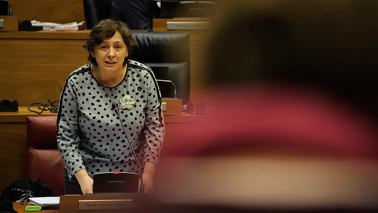 Isabel elizalde, consejera de medio ambiente y desarrollo rural durante el pleno parlamentario. MIGUEL OSÉS