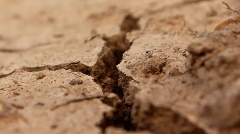 Once localidades navarra han construido sus edificios atendiendo a las normas antisísimicas. ARCHIVO