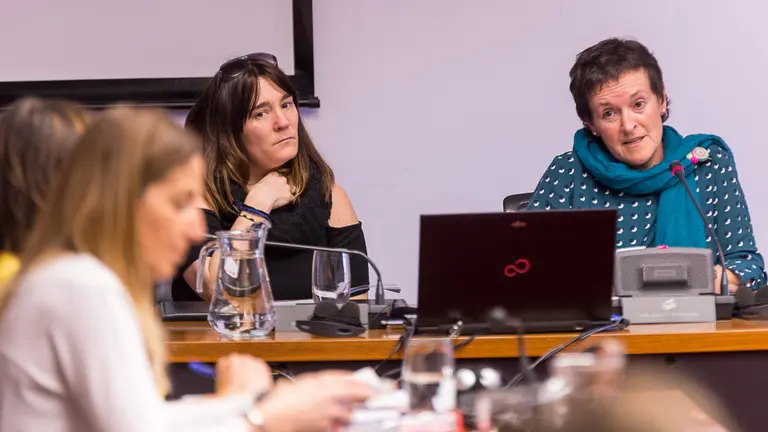 La Asociación de Familias Adoptivas de Navarra expone en el Parlamento la guía de actuación para los centros escolares y las pautas de colaboración entre familia y escue (4)