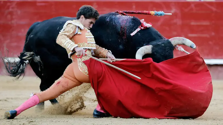 GInes Marín ha cortado dos orejas en la corrida de los Juan Pedro Domecq en Valencia EFE