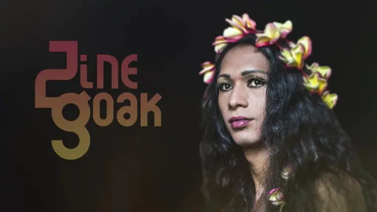 El Festival Internacional de Cine y Artes escénicas LGTB 'Zinegoak' llega a Pamplona y Tudela del 21 al 23 de marzo