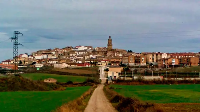 Una imagen panorámica de Mendigorria. ARCHIVO.
