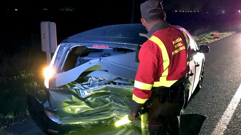 Un agente de la Policía Foral en el lugar del accidente en Peralta.