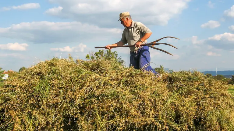 Imagen de un agricultor trabajando en una huerta ARCHIVO