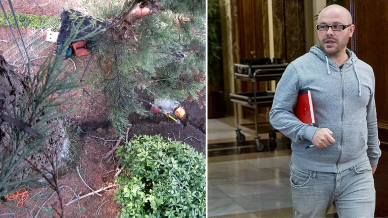 Instalación de un pararrayos soterrado en una secuoya de la Taconera, que coincide con la intención del concejal de Ecología de Pamplona de talar parte de los árboles de Pío XII