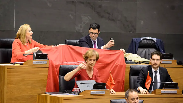 Pleno del Palrmento de Navarra que vota la derogación de la ley de símbolos y la imposición de la ikurriña. PABLO LASAOSA (2)