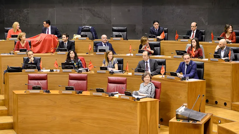 Pleno del Palrmento de Navarra que vota la derogación de la ley de símbolos y la imposición de la ikurriña. PABLO LASAOSA (3)