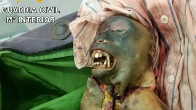 Un mono preparado para comer descubierto en un equipaje intervenido a una pasajera en el aeropuerto de Barajas. GUARDIA CIVIL