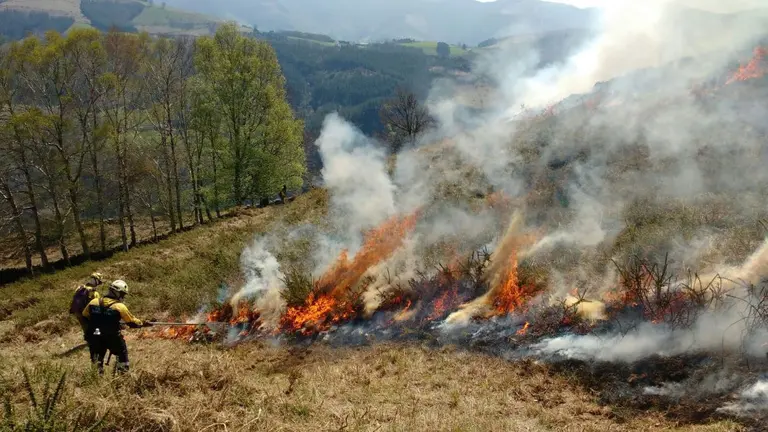 Los bomberos controlan una quema de pastos prescrita en Zubieta y vigilan para que las llamas no se extiendan descontroladamente. BOMBEROS DE NAVARRA