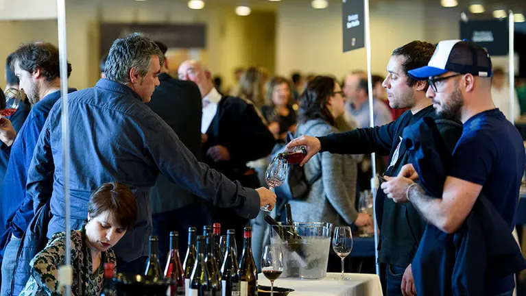 Imágenes de la celebración de Vinofest 2017 en Baluarte. PABLO LASAOSA 01 (5)