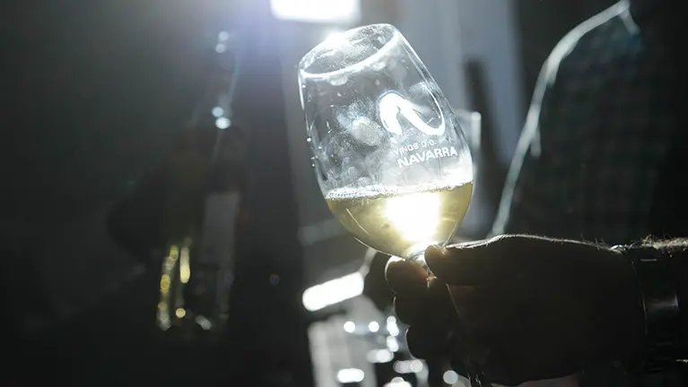 Imágenes de la celebración de Vinofest 2017 en Baluarte. PABLO LASAOSA 01 (6)