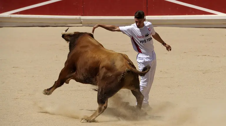 GRA235. PAMPLONA, 09/07/2016.- Un recortador hace un quiebro a un toro durante el concurso de recortadores celebrado esta mañana en la Plaza de Toros de Pamplona dentro de los actos populares de las fiestas de San Fermín. EFE/Villar López