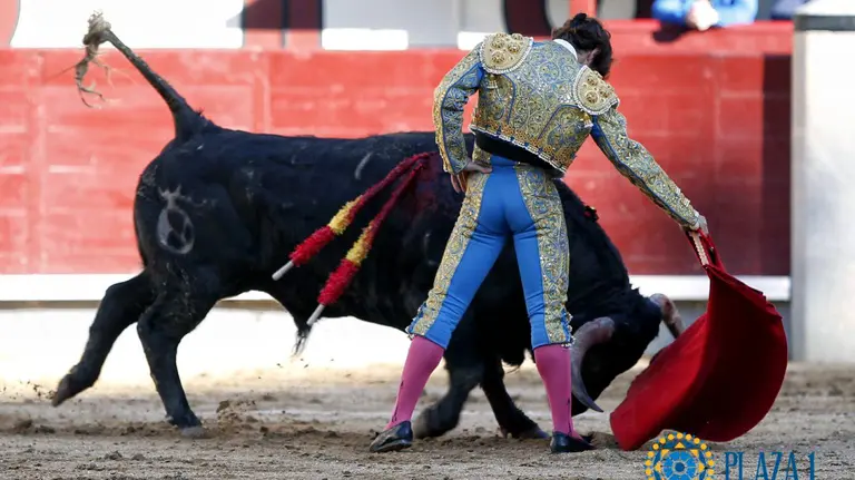 Novillada con picadores en Las Ventas de Madrid con toros de Dolores Aguirre y el navarro Javier Marín. FOTO LAS VENTAS JOAQUÍN ARJONA (5)