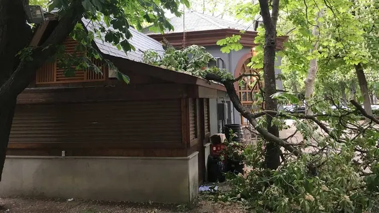 Ramas caídas en la zona del Bosquecillo de Pmaplona. CEDIDA