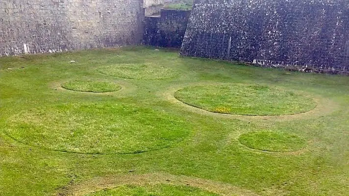 Jardines efímeros en la Ciudadela de Pamplona