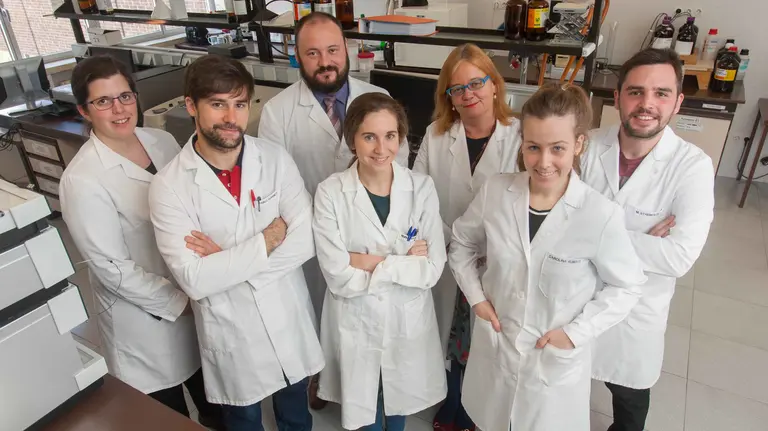 Daniel Plano (atrás en el centro), junto a otros investigadores de Navarra.
