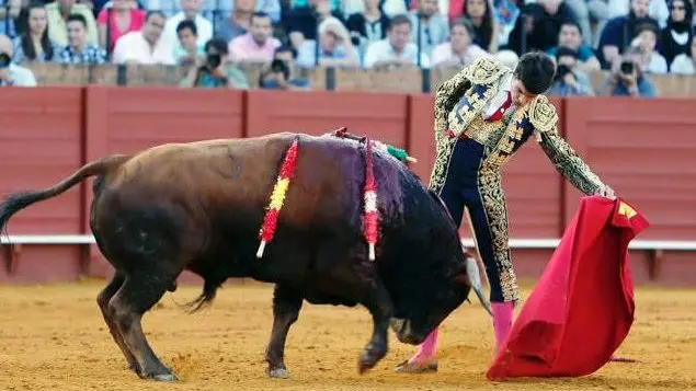Toñete en un natural a uno de sus novillos en La Maestranza de Sevilla. ARJONA-PAGÉS