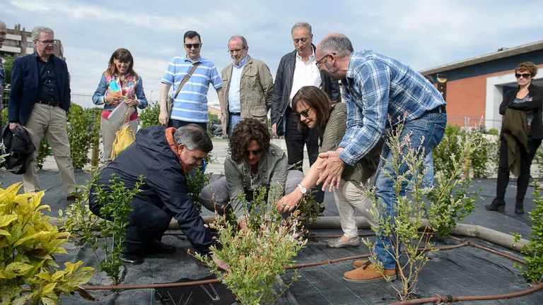 Miembros de la comisión y la Gerencia de Urbanismo, visita el Jardín de la Galaxia, la Vía Láctea a escala conformada por arbustos. PABLO LASAOSA 05