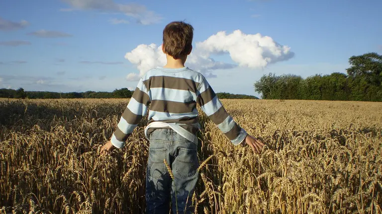 Un niño de espaldas en un campo de trigo.