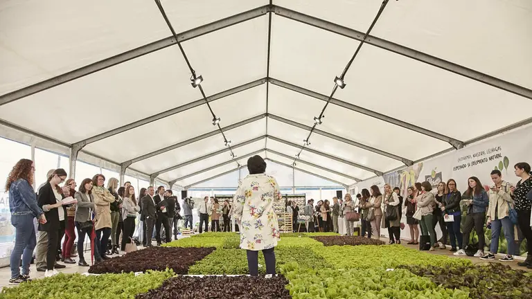 El huerto temporal que la compañía ha instalado en una céntrica plaza madrileña. Florette