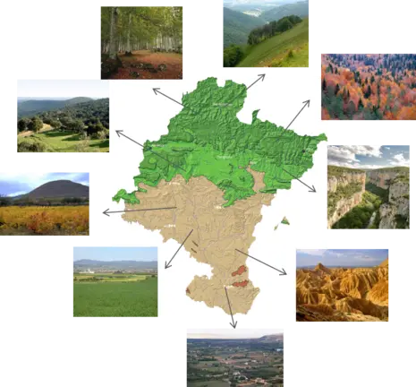 Mapa de Biodiversidad en Navarra. Cedida.