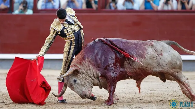 El diestro Alejandro Talavante, en Las Ventas.