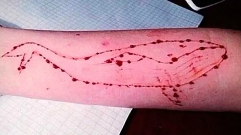 Una de las pruebas del reto 'La ballena azul. ARCHIVO