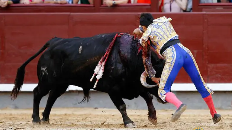 Adame entra a matar sin muleta en Las Ventas sustituyendo al diestro Francisco José Espalada, zarandeado por el mismo animal PLAZA 1