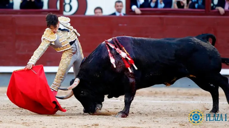 Gonzalo Caballero en la plaza de toros de Las Ventas.