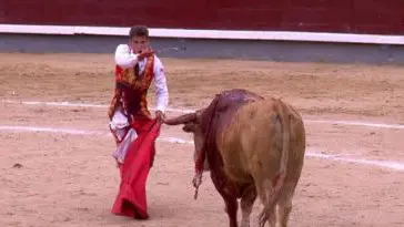 Novilla de San Isidro 2017 en Las Ventas.
