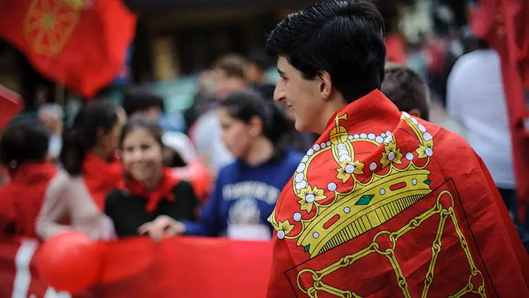 Manifestación en Pamplona en defensa de la bandera de Navarra. MIGUEL OSÉS_10 (11)