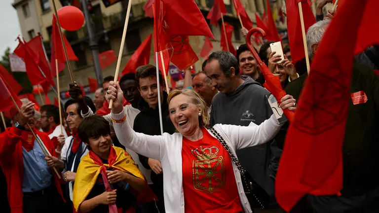 Manifestación en defensa de la bandera de Navarra. PABLO LASAOSA 37