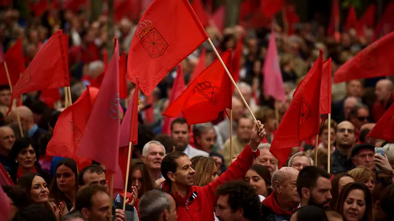 Manifestación en defensa de la bandera de Navarra. PABLO LASAOSA 49