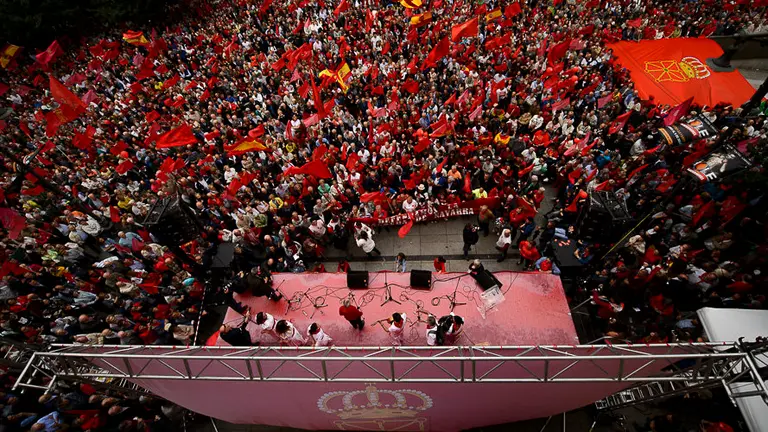 Manifestación en defensa de la bandera de Navarra. PABLO LASAOSA 57