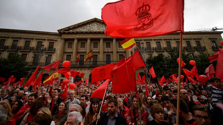 Manifestación en defensa de la bandera de Navarra. PABLO LASAOSA 66