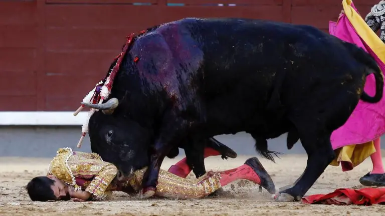 Accidentada corrida en Las Ventas con toros de Cuadri para Robleño, Castaño y Venegas PLAZA 1