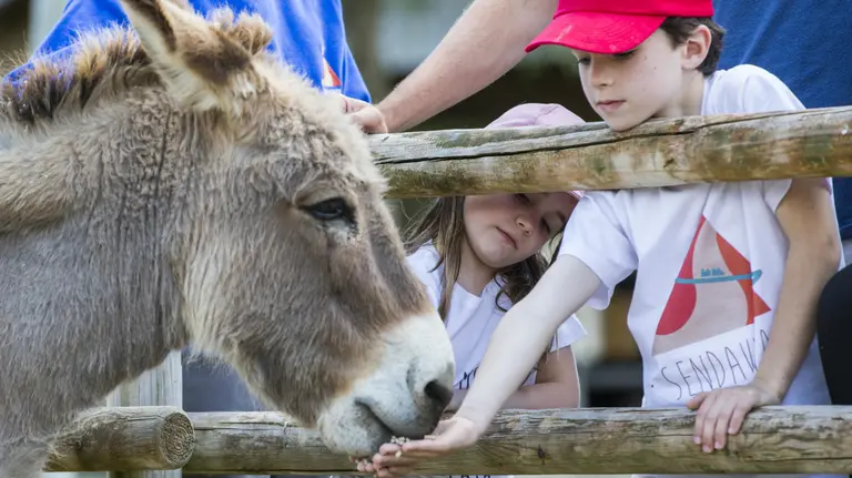 Respeto al Medio Ambiente