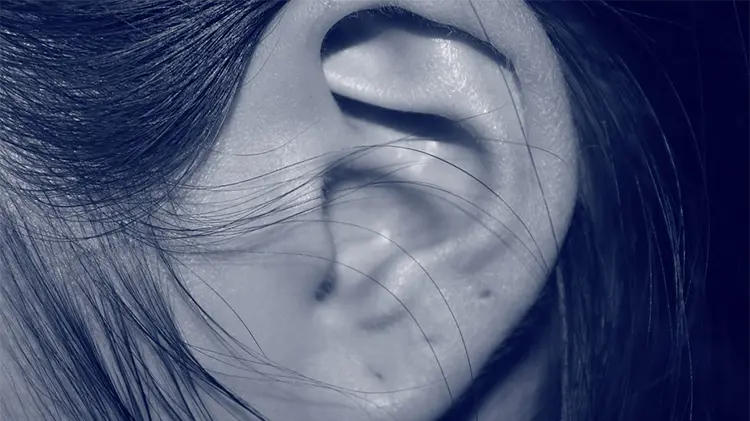 ASORNA programa varias actividades con motivo del Día Nacional de Lengua de Signos