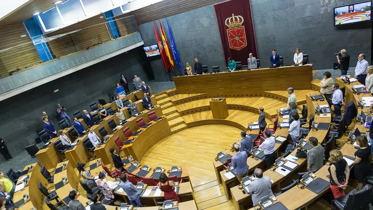 Pleno del Parlamento de Navarra (28). IÑIGO ALZUGARAY