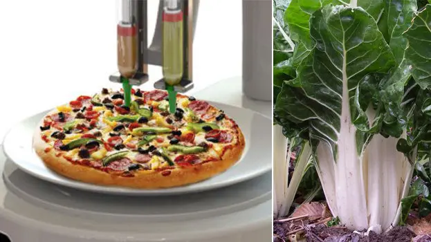 Imágenes de una impresora 3D realiza un reconstrucción de una pizza y de una acelga en el campo