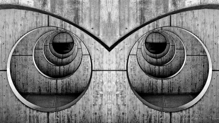 owl, obra premiada del fotografo pamplones