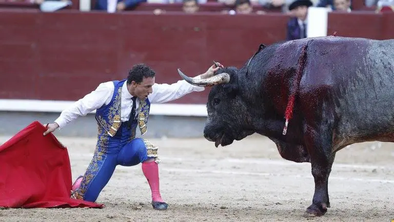 Rafaelillo ha sido el torero más ovacionado en la despedida de la feria de San Isidro con toros de Miura PLAZA 1