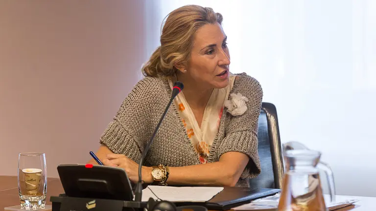 Comparecencia de Ana Ollo, consejera de Relaciones Ciudadanas e Institucionales para informar del decreto de criterios de uso de denominaciones bilingües para las localidades navarras (21). IÑIGO ALZUGARAY