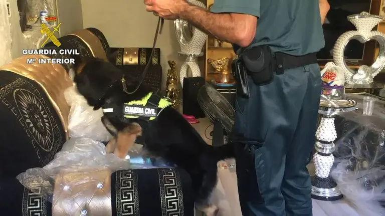 La Guardia Civil detiene a un clan familiar que regentaba una narcosala y puntos de venta de droga donde abastecían a compradores de la Ribera de Navarra