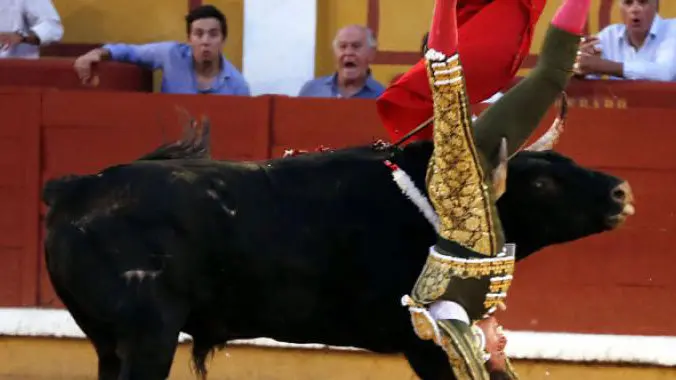 Roca Rey corneado por el sexto toro de la tarde en la Plaza de Toros de Badajoz.
