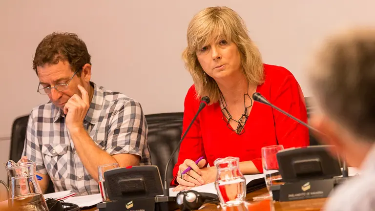 Comparecencia de la consejera de Relaciones Ciudadanas e Institucionales, Ana Ollo (22). IÑIGO ALZUGARAY